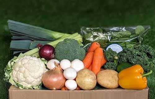 Grocery